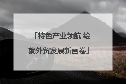 特色产业领航 绘就外贸发展新画卷