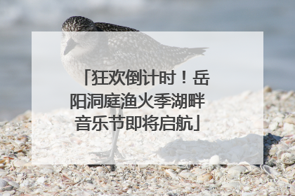 狂欢倒计时！岳阳洞庭渔火季湖畔音乐节即将启航
