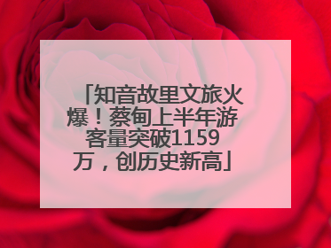 知音故里文旅火爆！蔡甸上半年游客量突破1159万，创历史新高