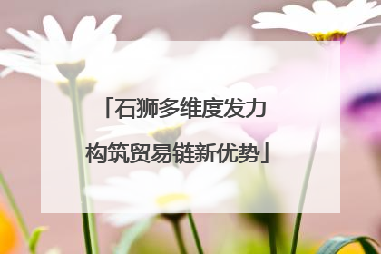 石狮多维度发力 构筑贸易链新优势