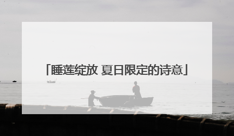 睡莲绽放 夏日限定的诗意