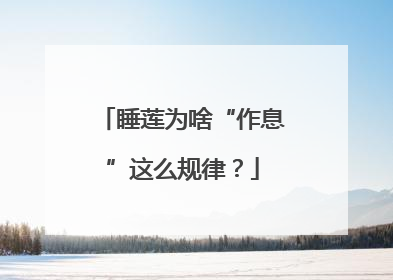 睡莲为啥“作息”这么规律？