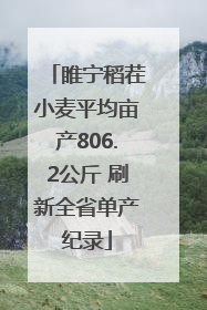 睢宁稻茬小麦平均亩产806.2公斤 刷新全省单产纪录