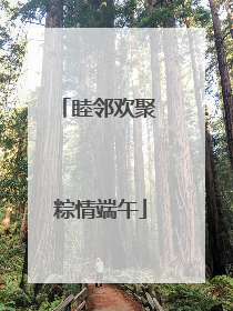 睦邻欢聚 粽情端午
