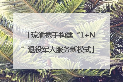 琼渝携手构建“1+N”退役军人服务新模式