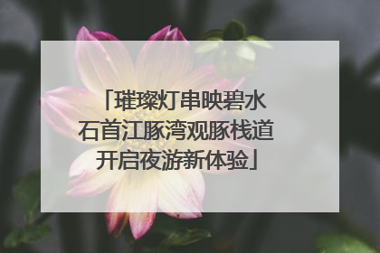 璀璨灯串映碧水 石首江豚湾观豚栈道开启夜游新体验
