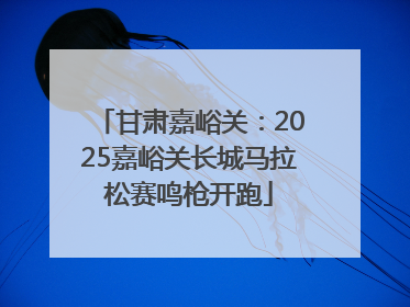 甘肃嘉峪关：2025嘉峪关长城马拉松赛鸣枪开跑