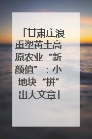 甘肃庄浪重塑黄土高原农业“新颜值”：小地块“拼”出大文章
