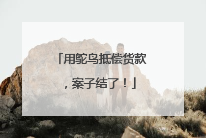 用鸵鸟抵偿货款，案子结了！