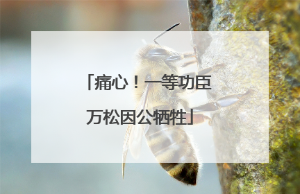 痛心！一等功臣万松因公牺牲