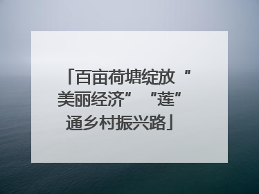 百亩荷塘绽放“美丽经济”“莲”通乡村振兴路