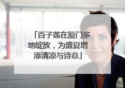 百子莲在厦门多地绽放，为盛夏增添清凉与诗意