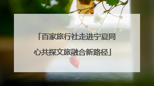 百家旅行社走进宁夏同心共探文旅融合新路径