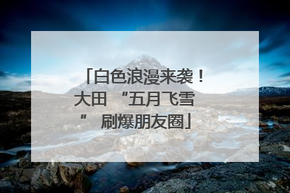 白色浪漫来袭！大田 “五月飞雪” 刷爆朋友圈