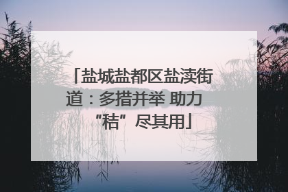 盐城盐都区盐渎街道：多措并举 助力“秸”尽其用