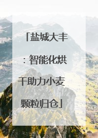 盐城大丰：智能化烘干助力小麦颗粒归仓