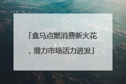 盒马点燃消费新火花，潜力市场活力迸发