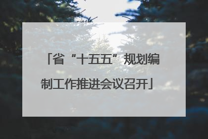 省“十五五”规划编制工作推进会议召开