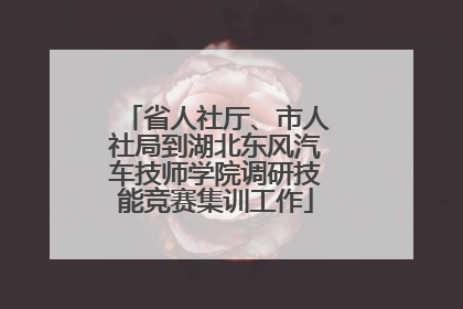 省人社厅、市人社局到湖北东风汽车技师学院调研技能竞赛集训工作