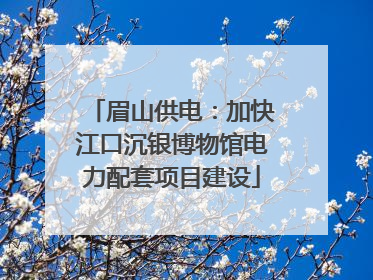 眉山供电：加快江口沉银博物馆电力配套项目建设