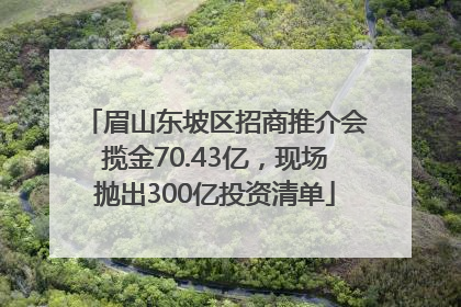 眉山东坡区招商推介会揽金70.43亿，现场抛出300亿投资清单