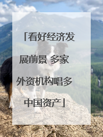 看好经济发展前景 多家外资机构唱多中国资产