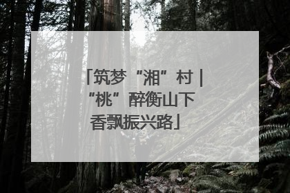 筑梦“湘”村｜“桃”醉衡山下 香飘振兴路