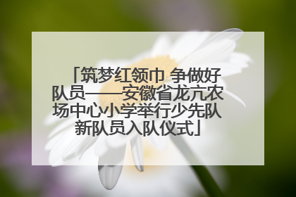 筑梦红领巾 争做好队员——安徽省龙亢农场中心小学举行少先队新队员入队仪式