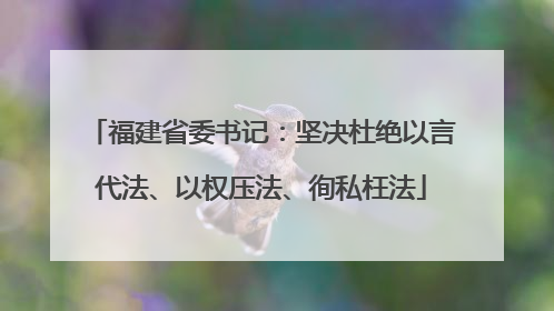 福建省委书记：坚决杜绝以言代法、以权压法、徇私枉法