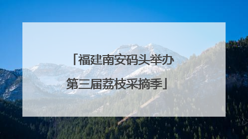 福建南安码头举办第三届荔枝采摘季
