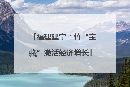 福建建宁：竹“宝藏”激活经济增长