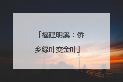 福建明溪：侨乡绿叶变金叶