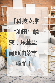科技支撑“油田”蜕变，东营盐碱地油菜丰收忙