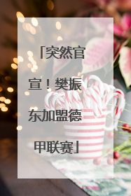 突然官宣！樊振东加盟德甲联赛