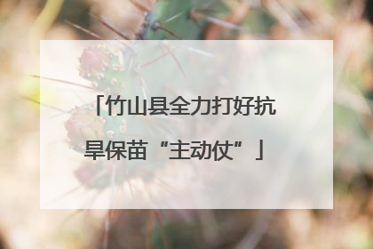 竹山县全力打好抗旱保苗“主动仗”