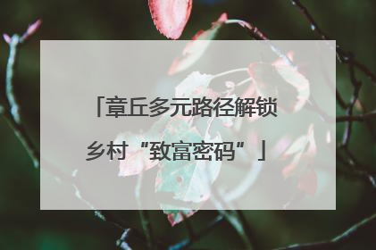 章丘多元路径解锁乡村“致富密码”