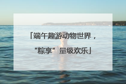 端午趣游动物世界，“粽享”量级欢乐