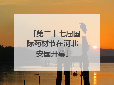 第二十七届国际药材节在河北安国开幕