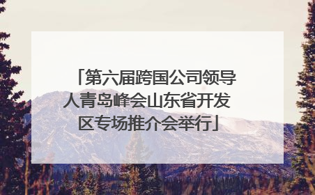 第六届跨国公司领导人青岛峰会山东省开发区专场推介会举行
