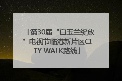 第30届“白玉兰绽放”电视节临港新片区CITY WALK路线