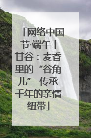 网络中国节·端午丨甘谷：麦香里的“谷角儿” 传承千年的亲情纽带