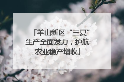 羊山新区“三夏”生产全面发力，护航农业稳产增收