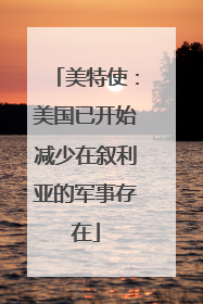 美特使：美国已开始减少在叙利亚的军事存在