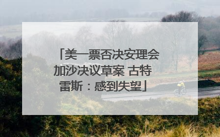 美一票否决安理会加沙决议草案 古特雷斯：感到失望