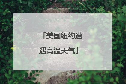 美国纽约遭遇高温天气