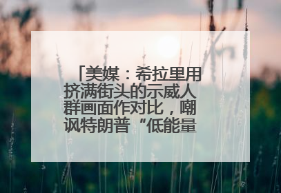 美媒：希拉里用挤满街头的示威人群画面作对比，嘲讽特朗普“低能量”阅兵式观众少