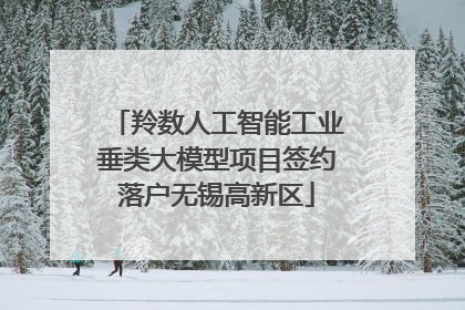 羚数人工智能工业垂类大模型项目签约落户无锡高新区
