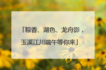 粽香、湖色、龙舟影，玉溪江川端午等你来