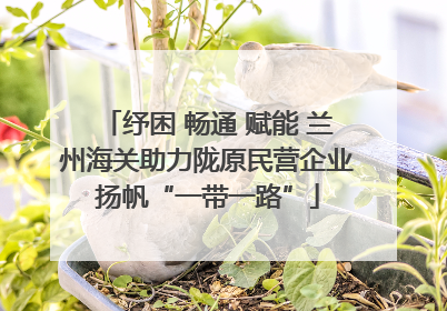 纾困 畅通 赋能 兰州海关助力陇原民营企业扬帆“一带一路”