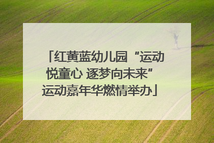 红黄蓝幼儿园“运动悦童心 逐梦向未来”运动嘉年华燃情举办